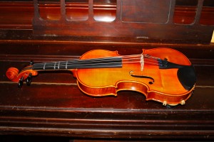 Viola